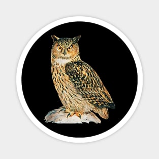 Owl - Woodland Themed Kids Room, Funny Gifts For Forester, Cute Animals Magnet